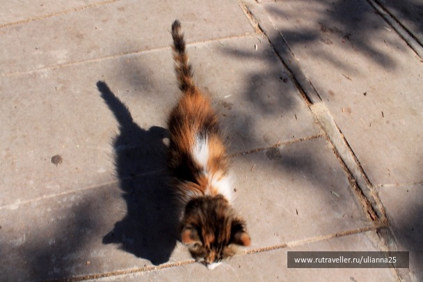 photo 1381641