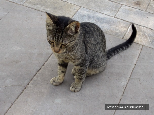 photo 1381643