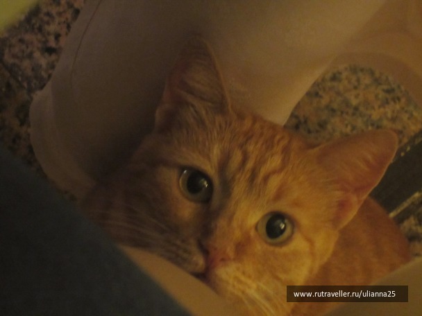 photo 1381645