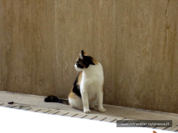 photo 1381648
