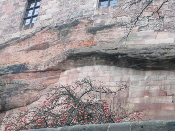 photo 586545