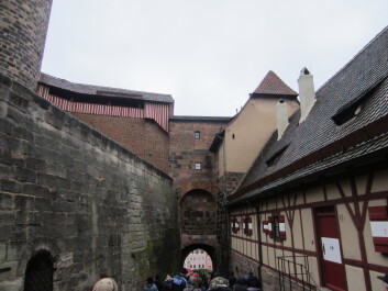 photo 586547