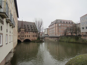 photo 586564