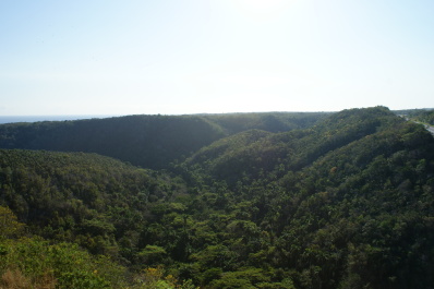 photo 200662