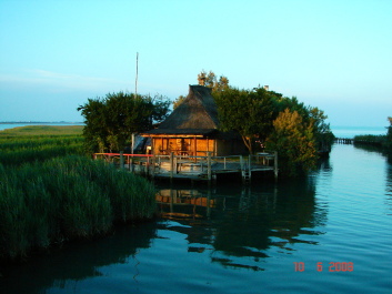 photo 201256