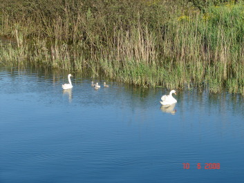 photo 201257