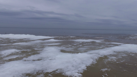 photo 286367