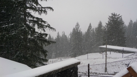 photo 942671
