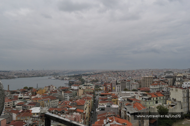 photo 243994