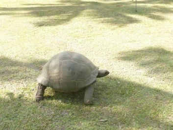 photo 976066
