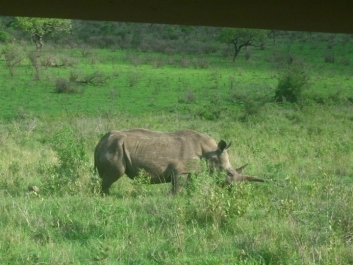 photo 976281