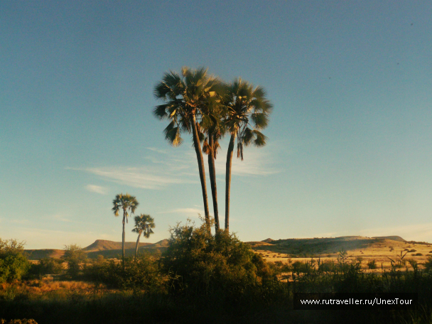 photo 988430