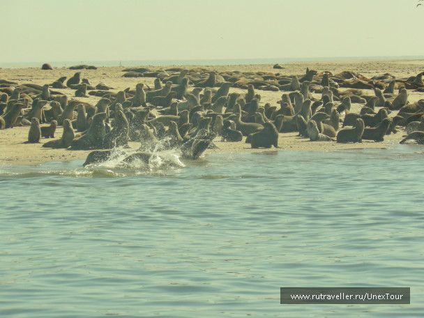 photo 988443