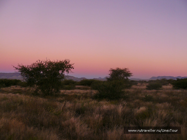 photo 988454