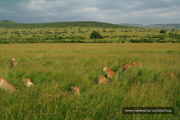 photo 992671