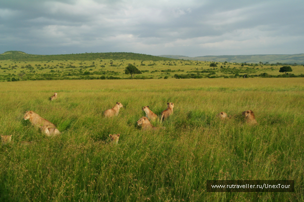 photo 992672