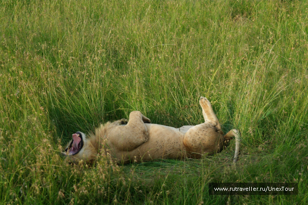 photo 992673