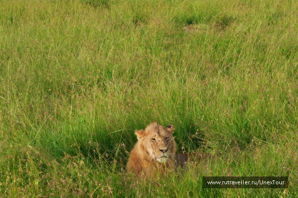 photo 992674