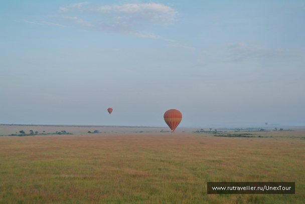 photo 992683