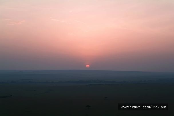 photo 992685
