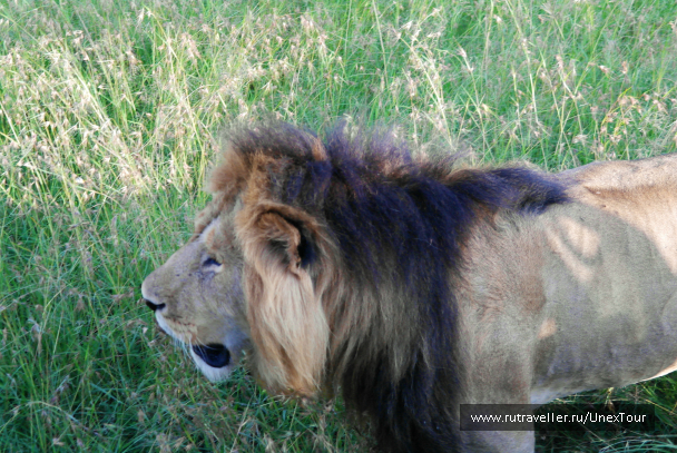 photo 992690