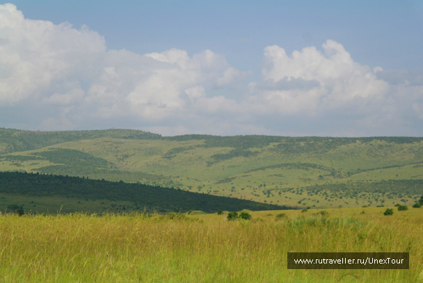 photo 992695