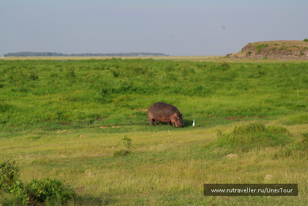 photo 992704