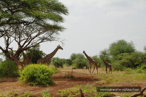 photo 992712