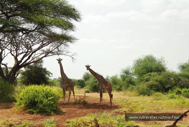 photo 992714
