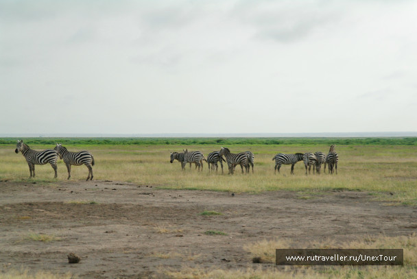 photo 992716