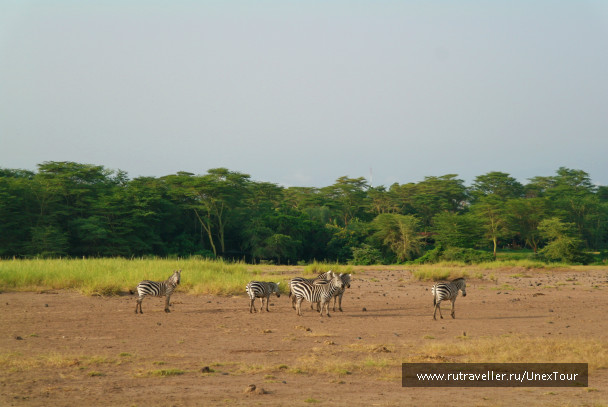 photo 992717