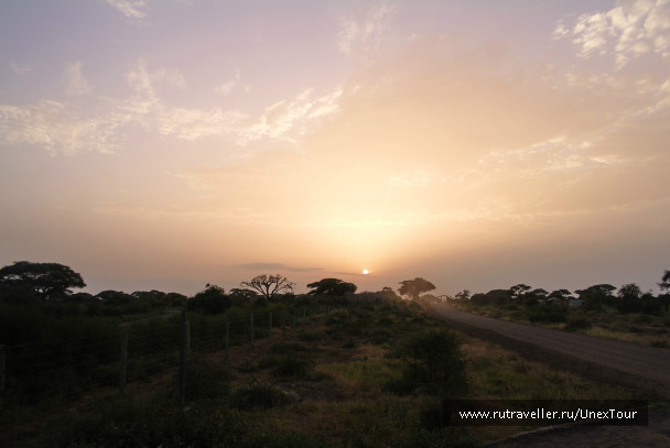 photo 992721