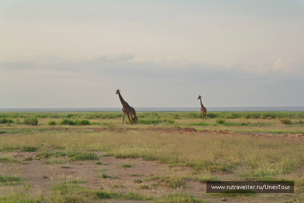 photo 992724