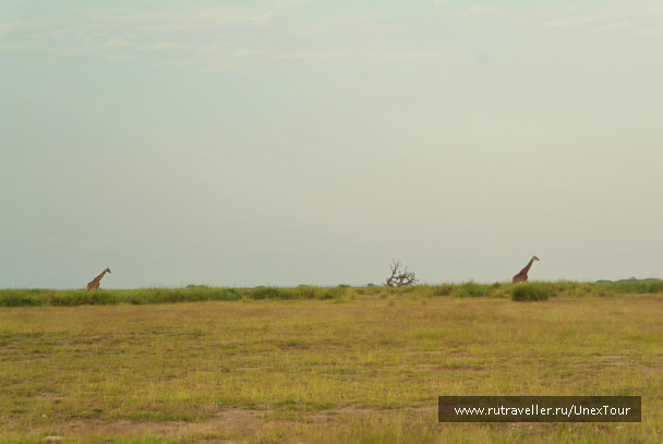 photo 992725