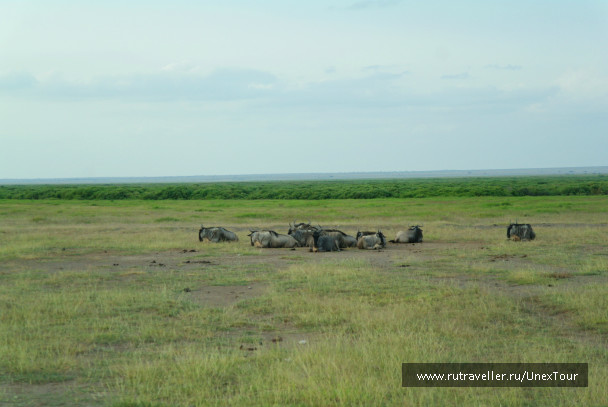 photo 992726