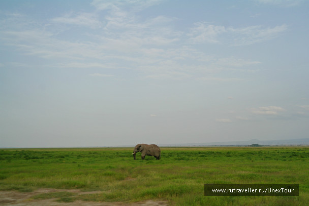 photo 992728