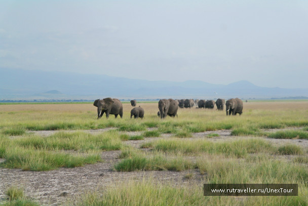 photo 992737