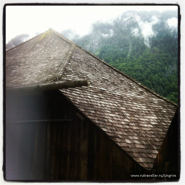 photo 780599