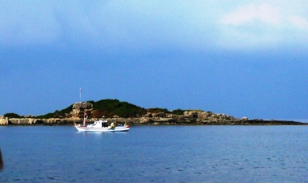 photo 293735