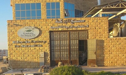 photo 193815