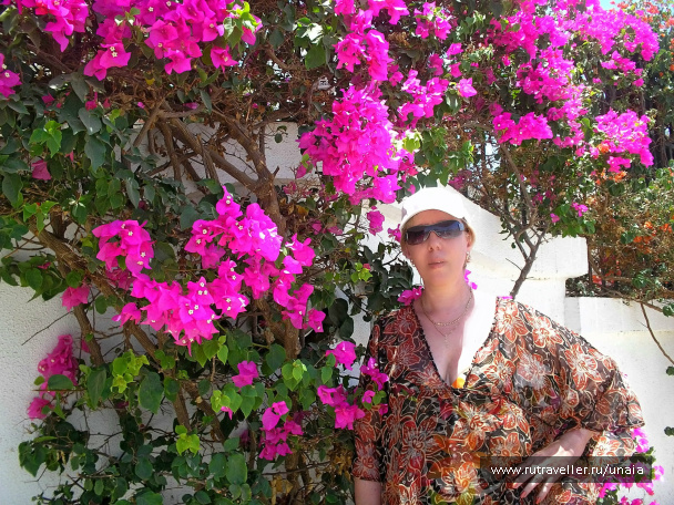photo 201227
