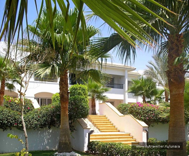 photo 201236