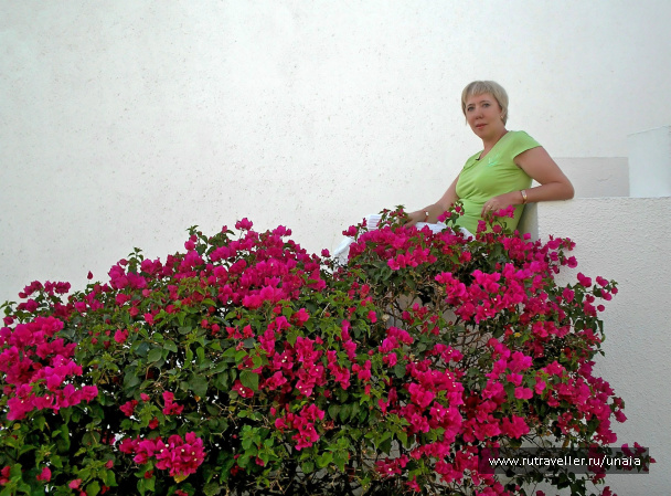 photo 204652