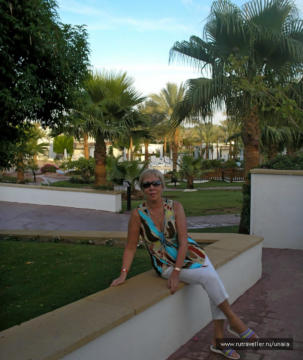 photo 206339