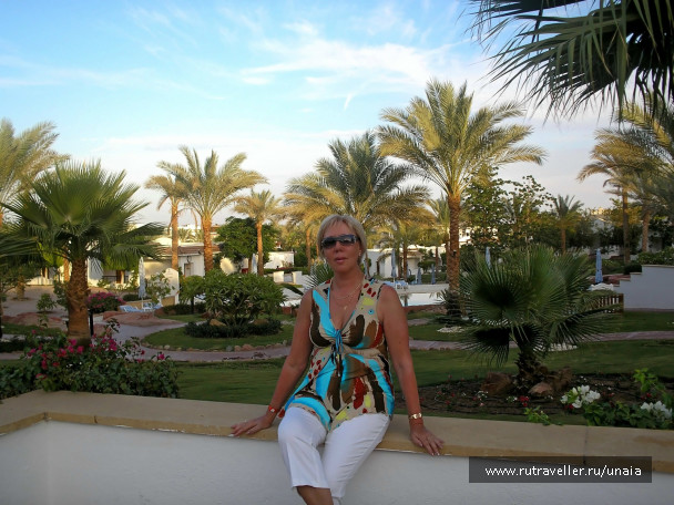photo 206432