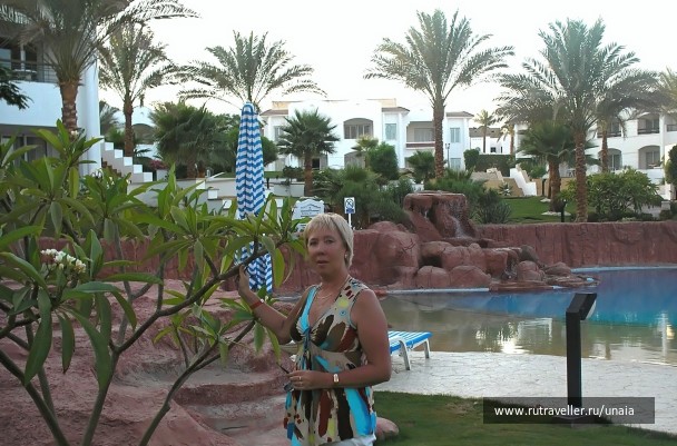 photo 206751