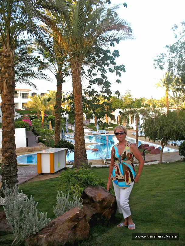 photo 206752