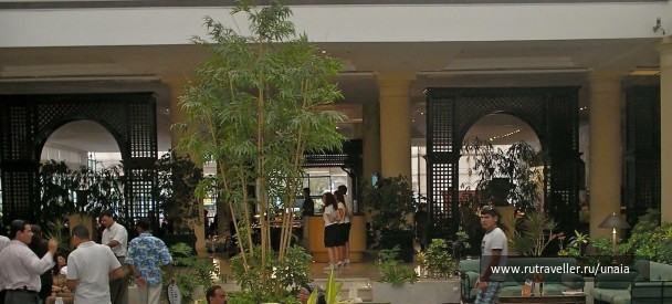 photo 206753