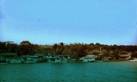 photo 413436