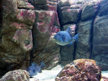 photo 486283